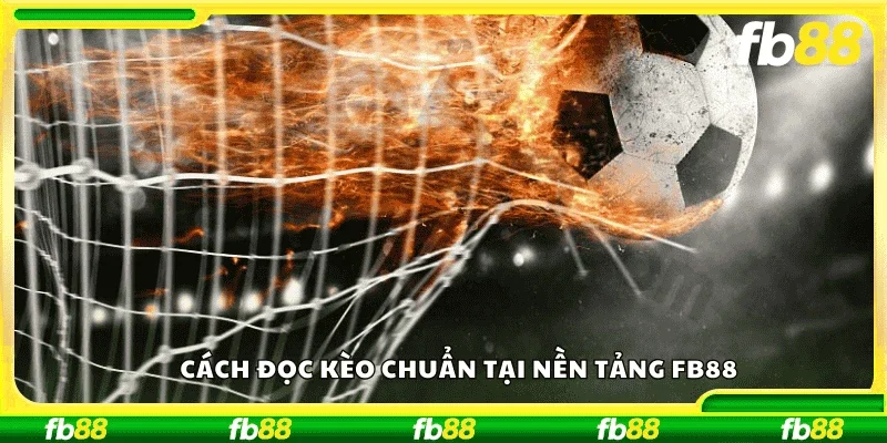 Cách đọc kèo chuẩn tại nền tảng FB88