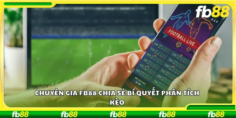 Chuyên gia FB88 chia sẻ bí quyết phân tích kèo