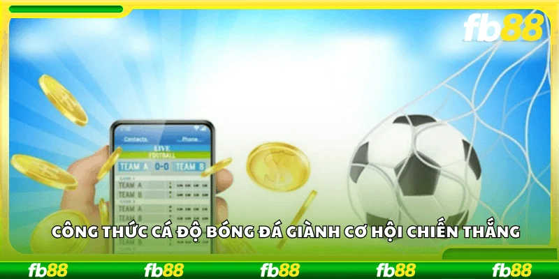 Công thức cá độ bóng đá giành cơ hội chiến thắng