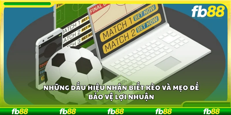 Những dấu hiệu nhận biết kèo và mẹo để bảo vệ lợi nhuận