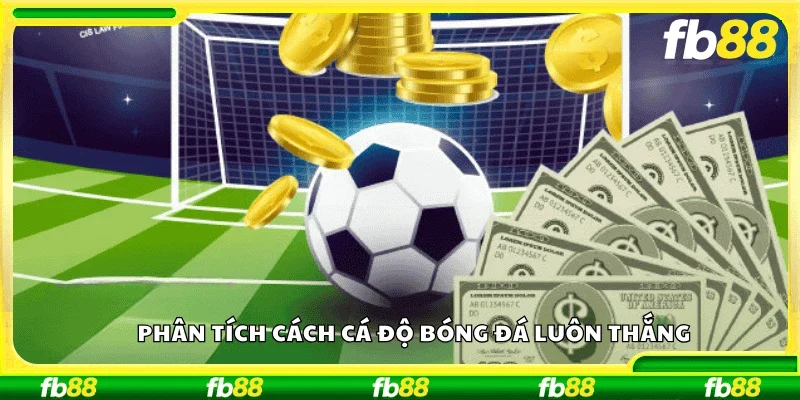 Phân tích cách cá độ bóng đá luôn thắng